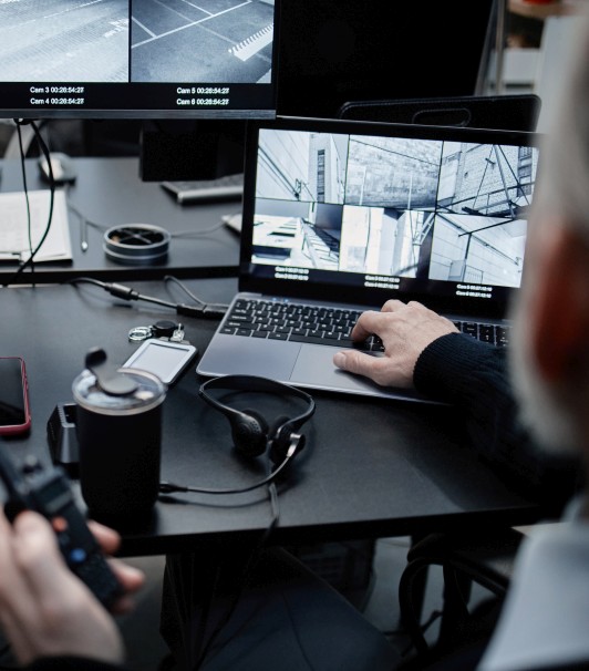 Remote monitoring workstation with multiple camera views