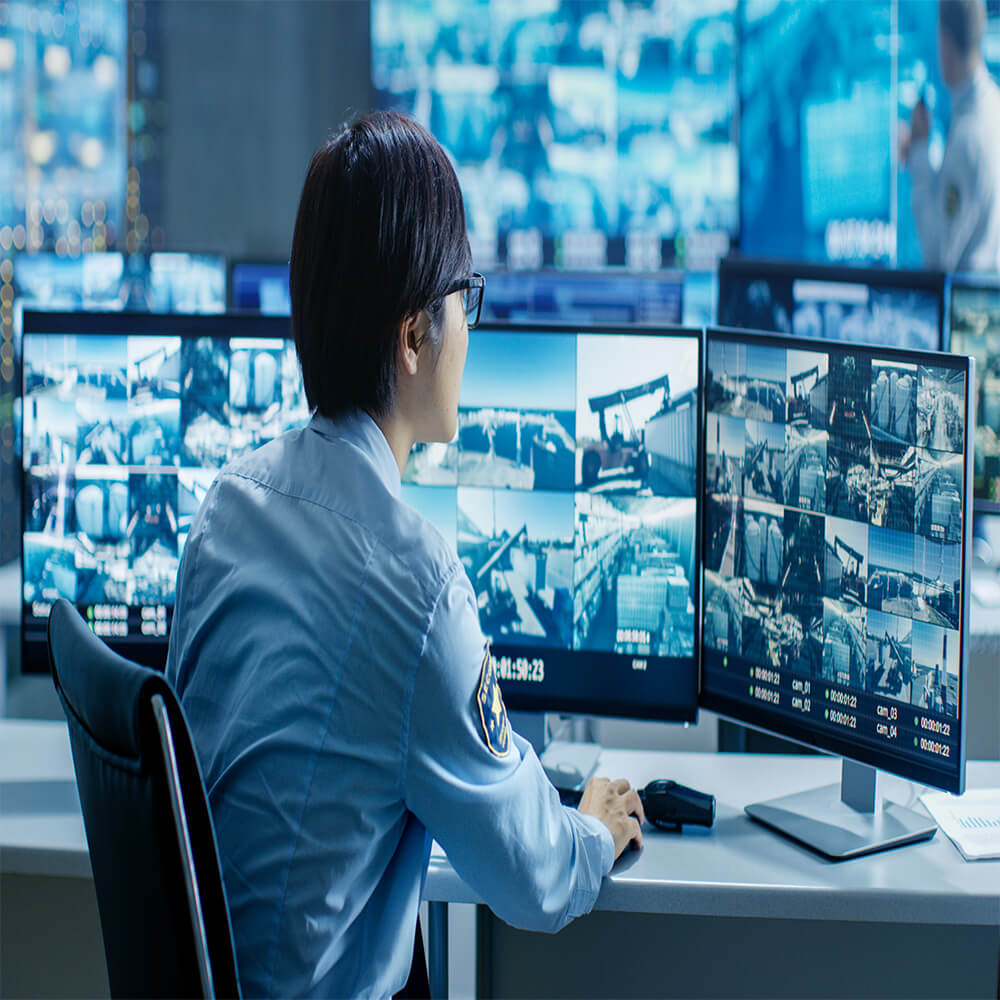 Comprehensive Security Services
